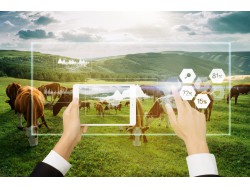 PA旗舰厅(中国区)官方网站-PlayAce