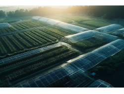 PA旗舰厅(中国区)官方网站-PlayAce