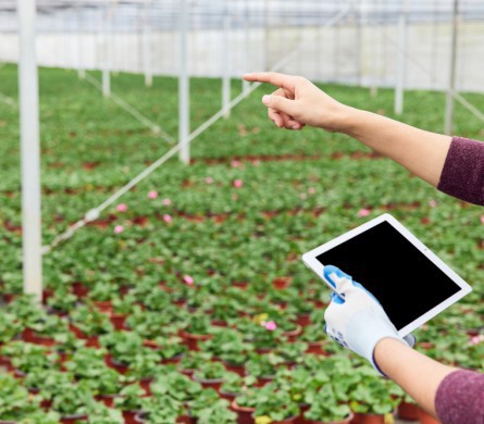 PA旗舰厅(中国区)官方网站-PlayAce